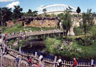 pongoland-link.jpg