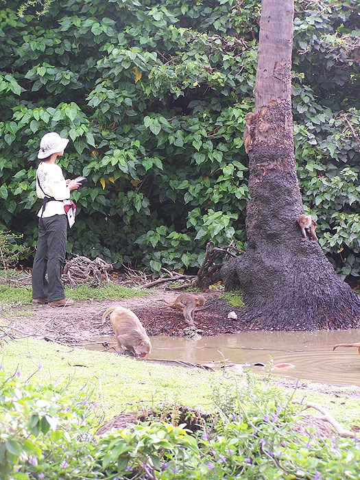 natural-water-pool.jpg  