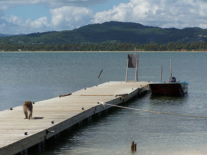 on-cayo-with-view-to-main-land.jpg  