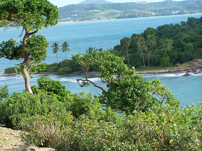 view-from-big-cayo-to-small-cayo-connected-via-the-isthmus.jpg  