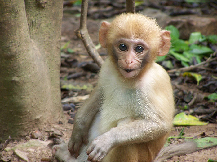 local-female-at-6-months-of-age.jpg  