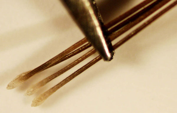 figure1.jpg