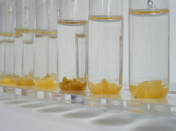 figure3.jpg
