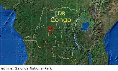 afrika-salonga.jpg