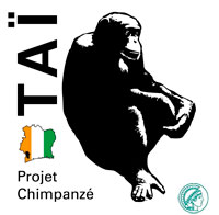 Logo_Tai.jpg  