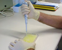 group_endocrinology_laboratory.jpg