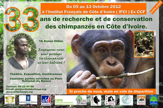33_years_of_the_Tai_Chimpanzee_Project.jpg  