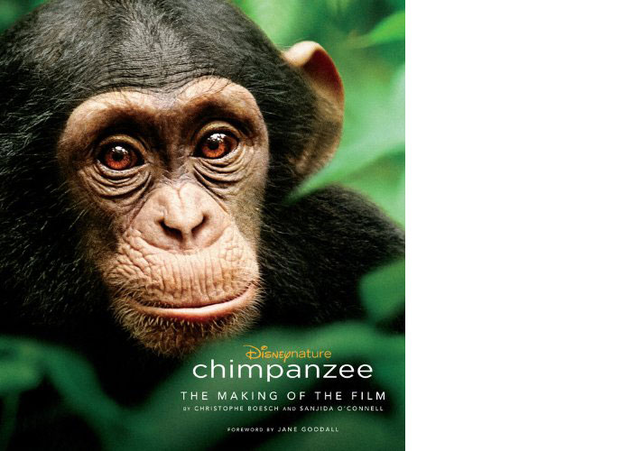 Chimpanzee.jpg  