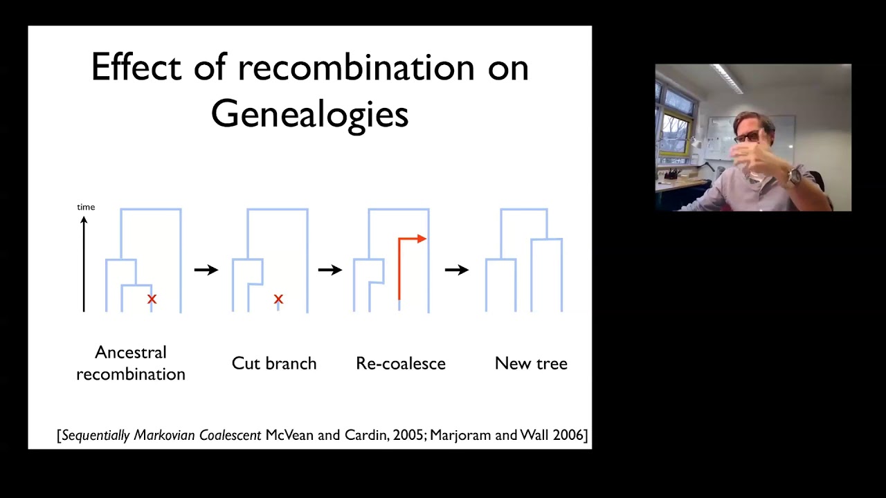 What ancient and modern DNA tells us about our human past?