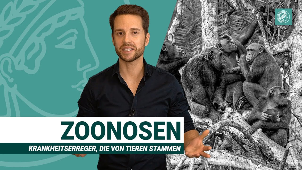 Wildtiermärkte: Brutstätten für Coronaviren | Zoonosen und Artensterben | Wissen Was mit MrWissen2go